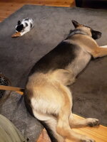 20190609_221623.jpg