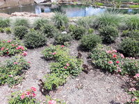 20190610_150551.jpg