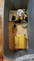 20190610_215647.jpg
