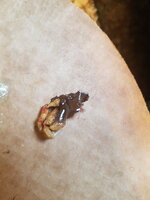 20190611_090819.jpg