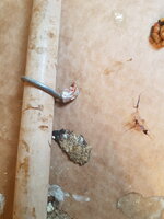 20190611_090824.jpg