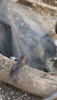 20190611_095156.jpg