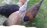 20190611_193014.jpg 20190611_193014.jpg