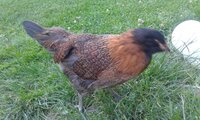 20190611_193122.jpg 20190611_193122.jpg