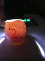 6E30992F-E61D-455C-9174-6DA536F1EB38.jpeg