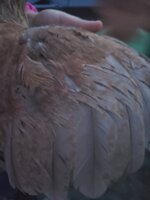 20190611_210813.jpg