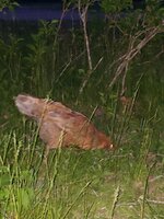 20190610_205831.jpg