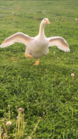 IMG_1846.PNG IMG_1846.PNG