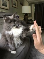 7E96905E-11B8-49A5-9521-F10A4D0FF38E.jpeg