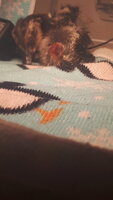 20190613_171237.jpg