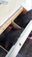 20190613_174710.jpg