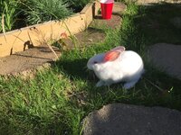 00B3DF19-6738-4CBB-B2AE-8282A730FE14.jpeg