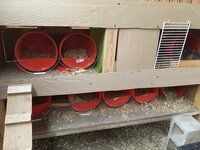 IMG_3495.JPG