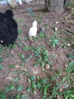 IMG_20190613_163922.jpg