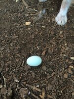 IMG_1750.JPG