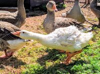 IMG_20190601_160418.jpg