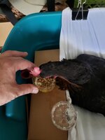 20190615_171808.jpg