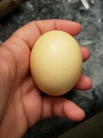 20190616_093247.jpg