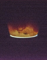 egg 2 candled day 21.jpg