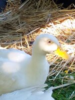 20190617_095221.jpg