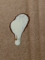 20190617_213806.jpg