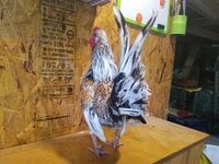 20190610_080722.jpg