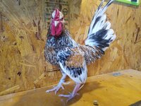 20190610_080731.jpg