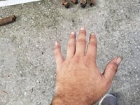 20190618_113142.jpg