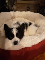 20190618_143735.jpg