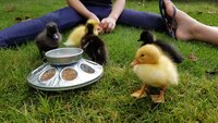 20180711_090354.jpg