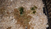 20190619_085435.jpg