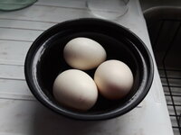 20190612_193512.jpg