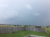 1B459FEF-0AA6-4D13-877E-9EAE879DA652.jpeg