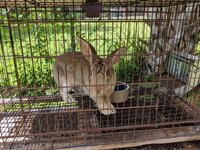 MVIMG_20190618_115256.jpg