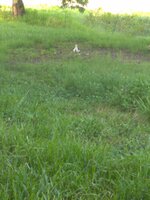 IMG_20190621_183815.jpg