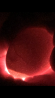 0B919415-321D-4D1E-877F-348F50F4D38D.png