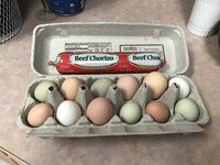 14086D7A-07F7-4506-B413-F23DDF1FB668.jpeg