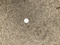 D8458867-0B67-4C16-806B-41C9C6245CAE.jpeg