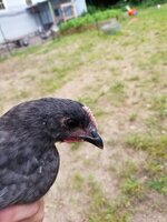 20190623_075201.jpg