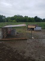 20190623_094222.jpg