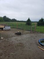 20190623_094224.jpg