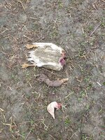 20190623_094254.jpg