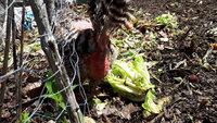 20190623_115436.jpg 20190623_115436.jpg
