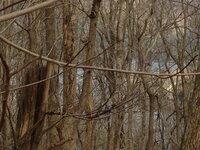2017-02-12_14-54-45_957.jpeg 2017-02-12_14-54-45_957.jpeg