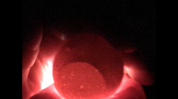 2A29AADA-D809-4A76-8DDC-562697D37CAA.png