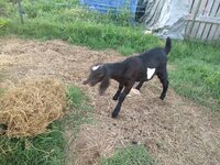 IMG_20190624_195732620.jpg