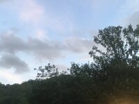 IMG_1135.JPG