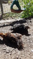 20190618_092754.jpg