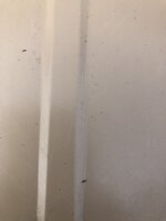 18799822-A6A0-4AFD-8DF0-D6B301FAA8CC.jpeg