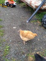 IMG_20190626_075813536.jpg